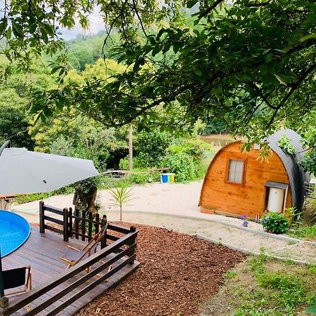 Gallas Pod House Vouzela Exterior photo